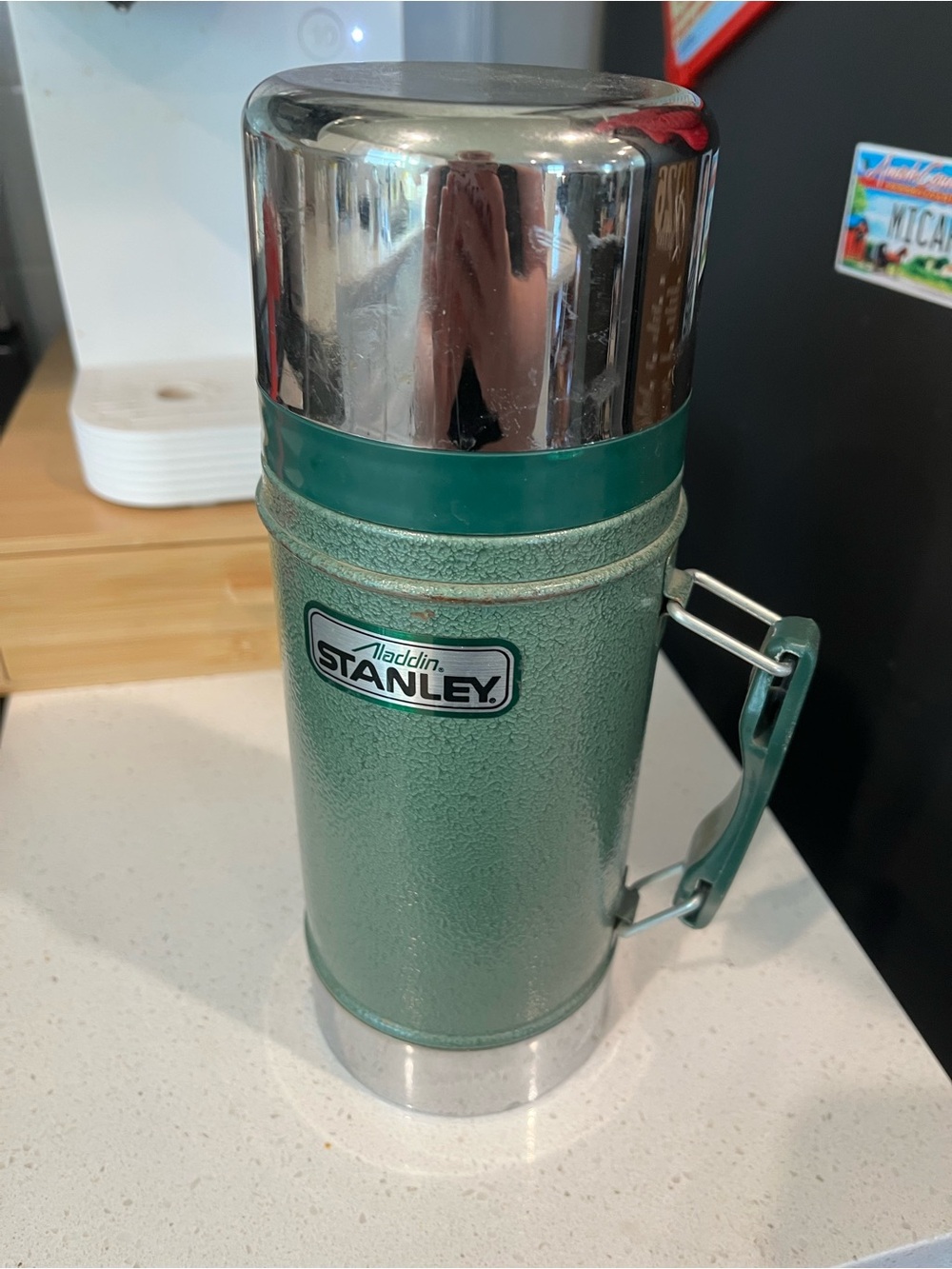 Stanley Green Textured Insulated Thermos with Chrome Accents- Vintage
